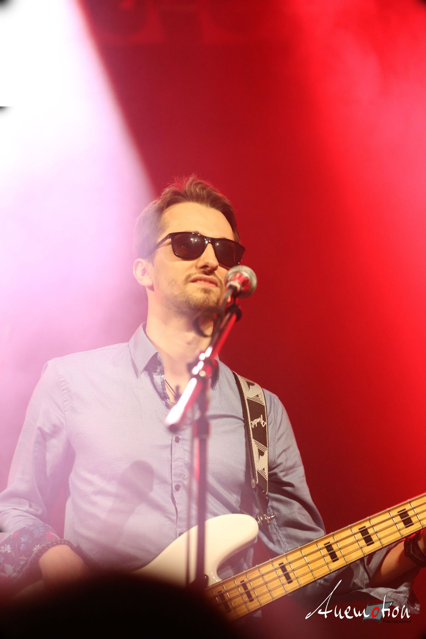 ElephantsFalling (25)